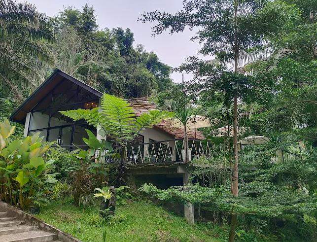 Gamping Cafe Sipispis: Rute, Akses Jalan, dan Pengalaman Naik Motor Matic yang Wajib Diketahui